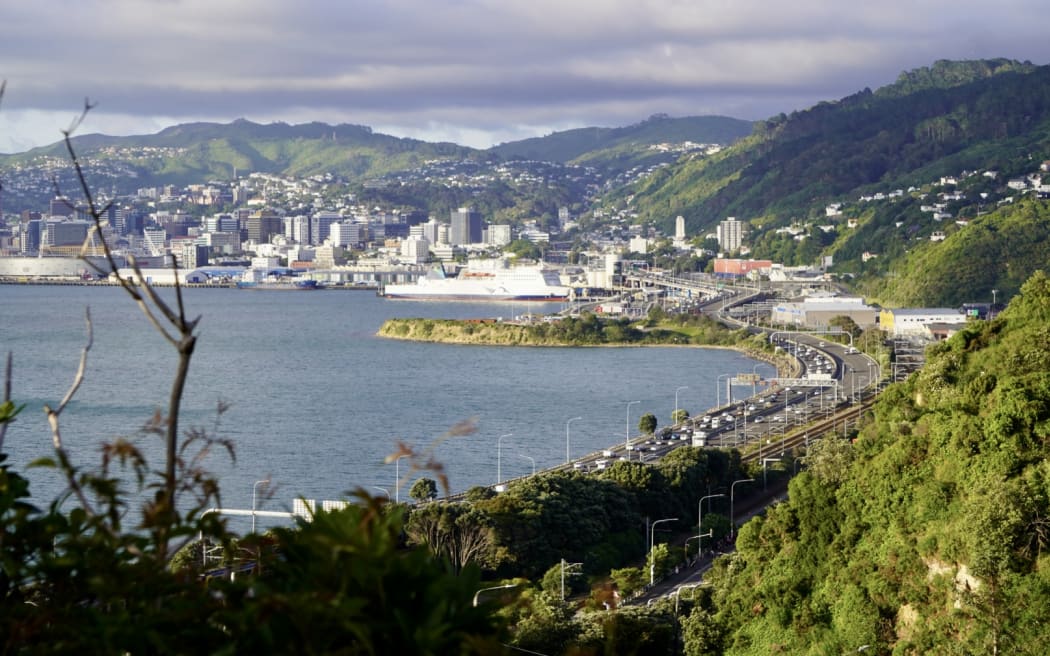 hīkoi in welly