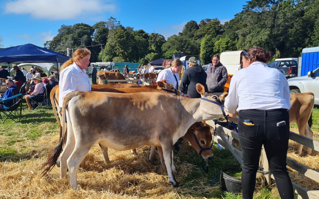 Waiau A&P Show in Tuatapere, Southland