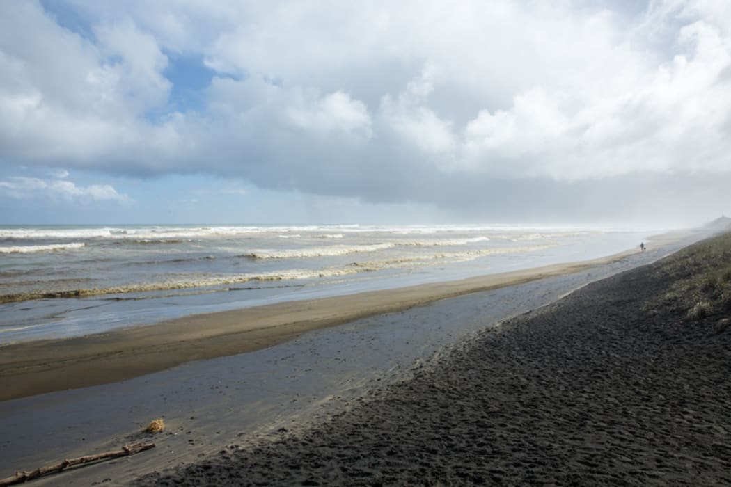 Muriwai Beach
