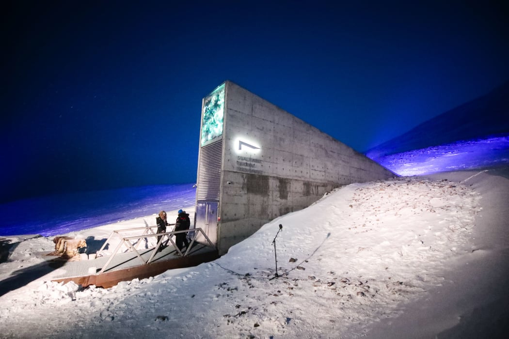 Svalbard Global Seed Vault. Representatives from many countries and universities arrived in the vault with new seeds.