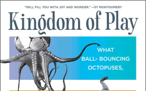Kingdom of Play book cover