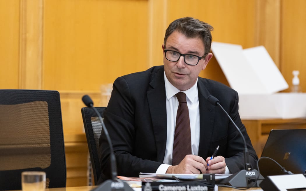 National Party MP Cameron Brewer in select committee.
