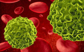 Cancer cells spreading and growing through the body via red blood cells.