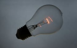 incandescent light bulbs