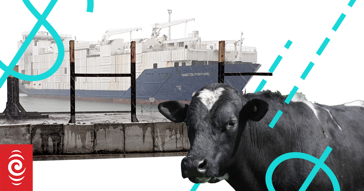 The $1m PR and lobbying campaign to overturn livestock export ban - Vimarsana News