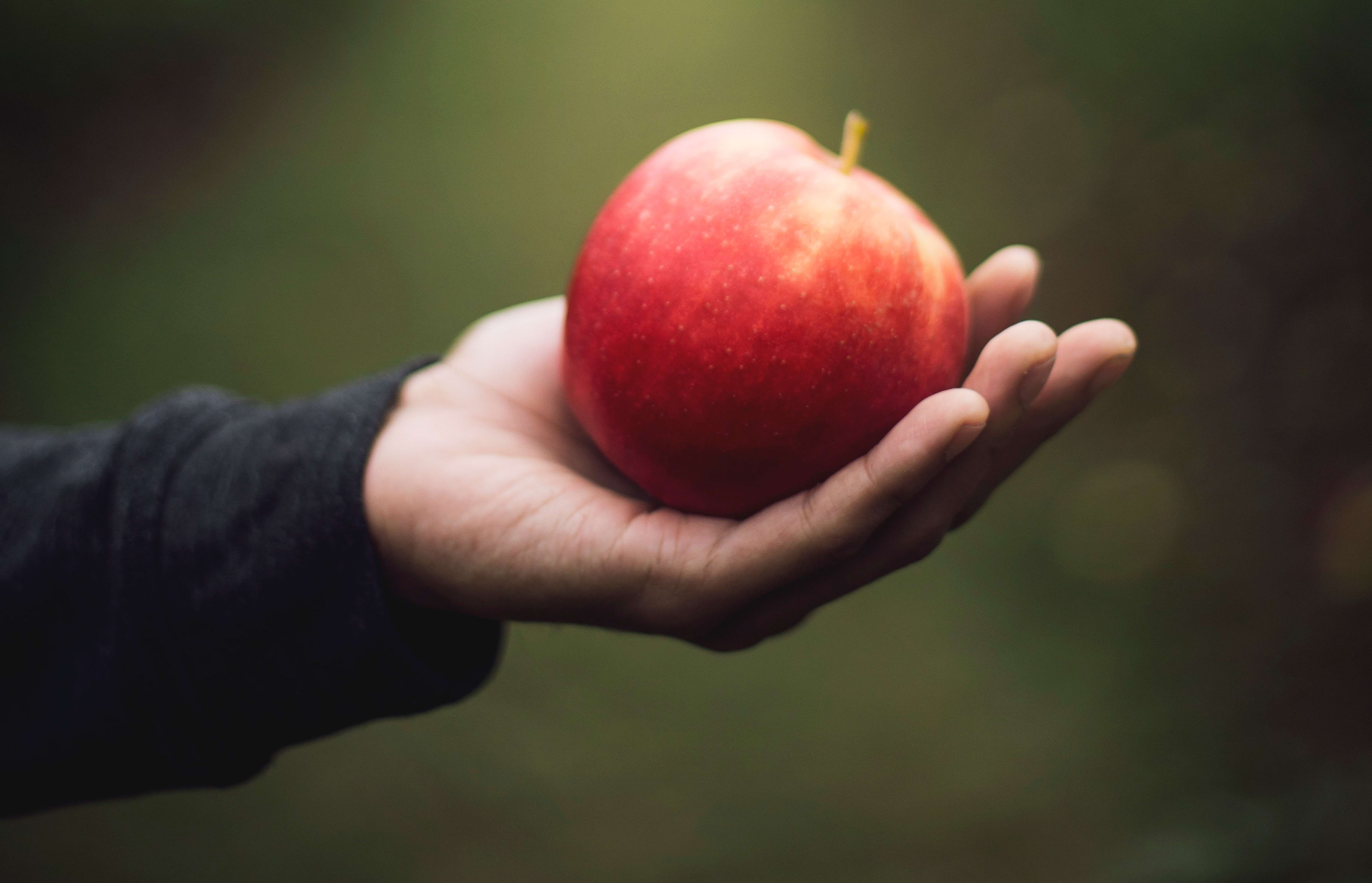 hand with apple