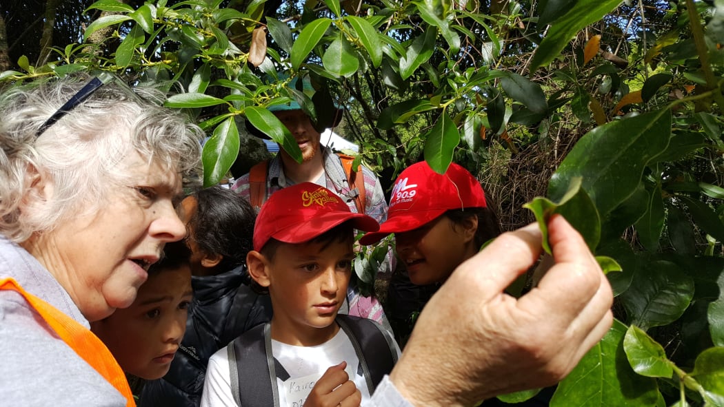 Pam Cromarty and students identify a Coprosma plant in a Stokes Valley reserve.
