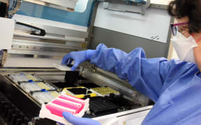 A technician prepares patient samples for the clarification of the coronavirus.