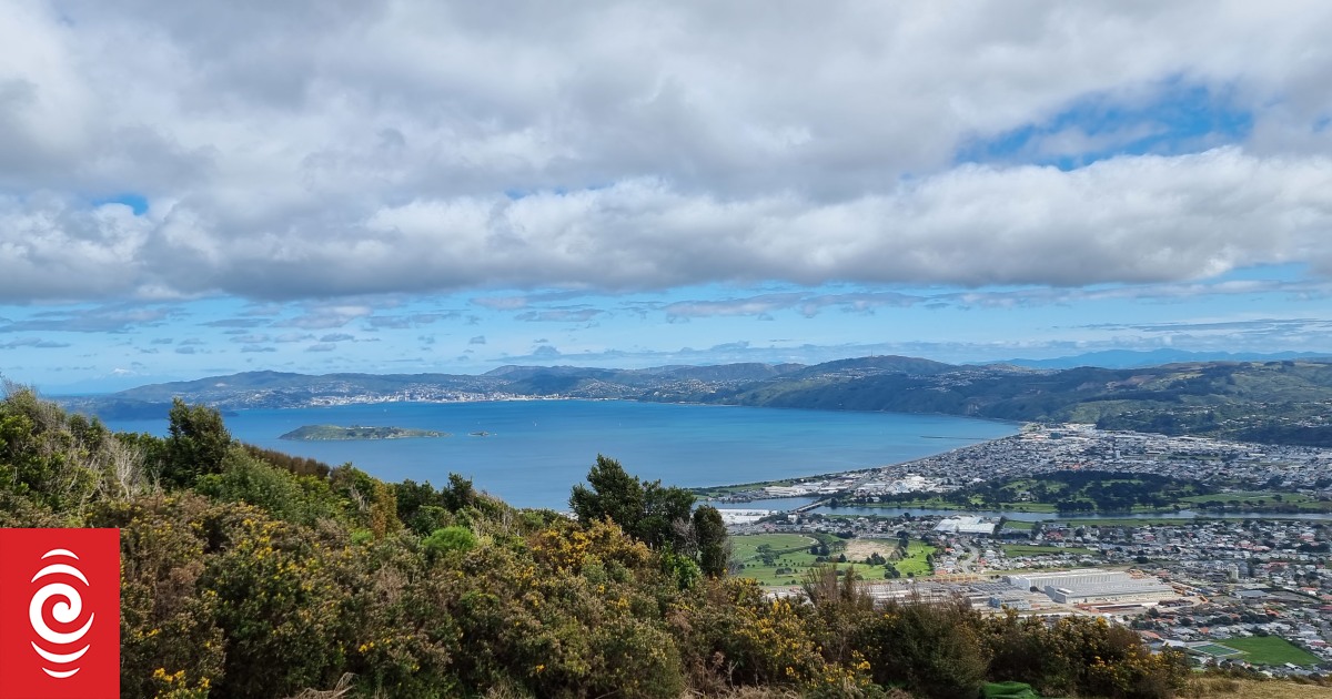 Wellington Water admits overlooking $51 million budget error - Vimarsana News