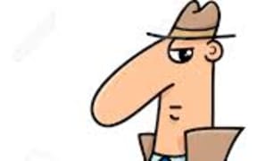 investigative reporter
