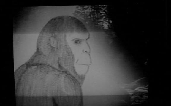 Sketch of the Moehau Man, as described by witness Len Lisle