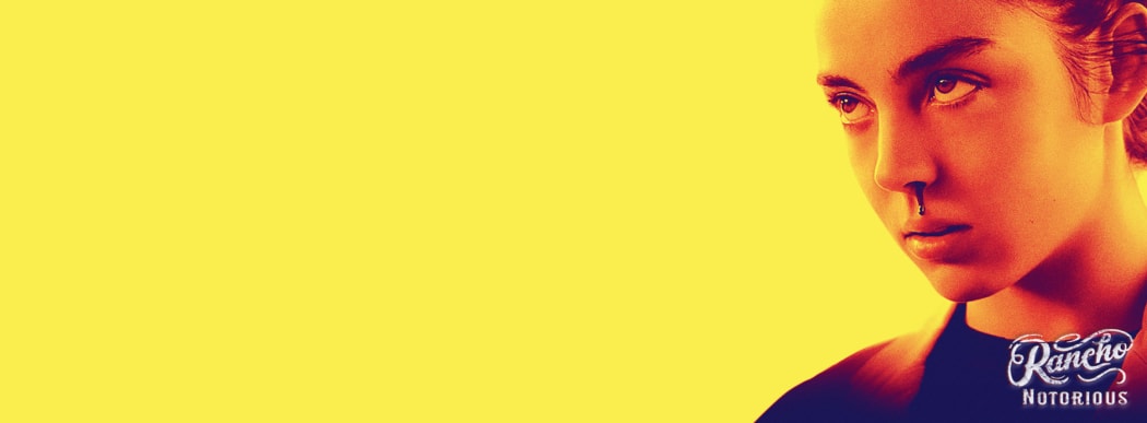 RN 0503 banner