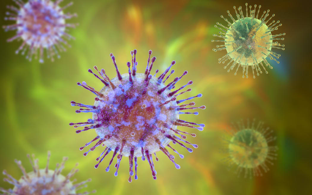 Group of viruses, computer illustration. (Photo by KATERYNA KON/SCIENCE PHOTO LIBRA / KKO / Science Photo Library via AFP)

coronavirus generic