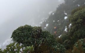 Routeburn Track
