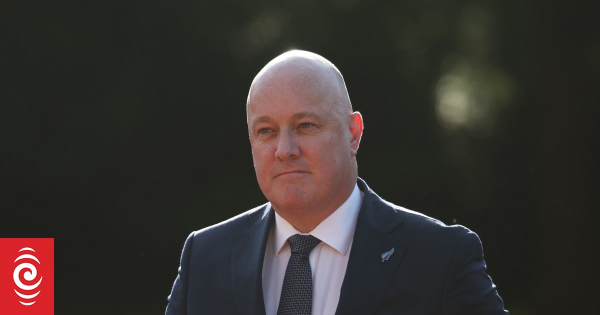 Quote of the year: Luxon's 'go make a marmite sandwich' in running for annual contest