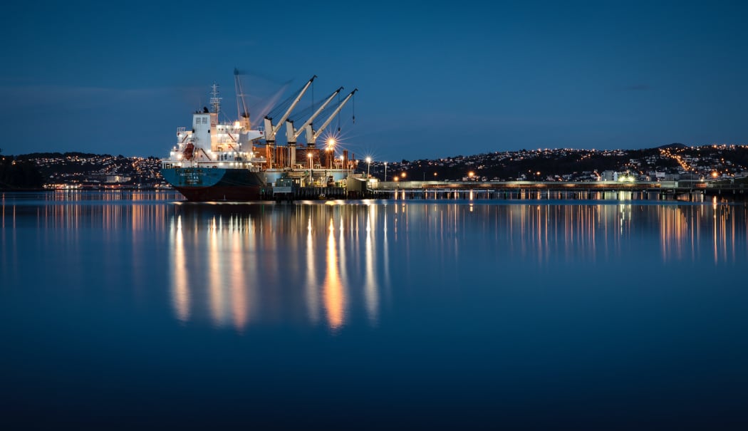 Dunedin's harbour at dawn.