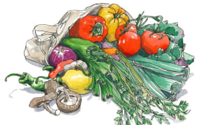 Illustration from Salt, Fat, Acid, Heat