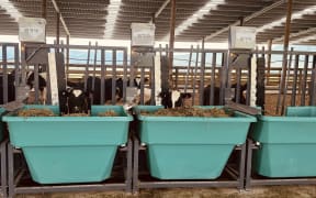 A new feed conversion efficiency and methane testing facility run by Pāmu Farms.