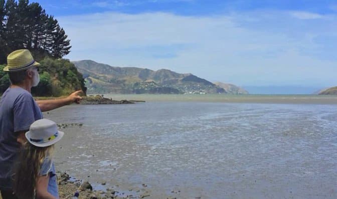 The Head to Head Walkway project aims to link Awaroa/Godley Head to Te Piaka/Adderley Head around the coastline of Whakaraupō/Lyttelton Harbour.