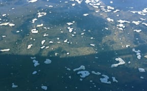 6 hectare patch of slime/lake snow in Stevensons Arm,  Lake Wanaka, June 2016