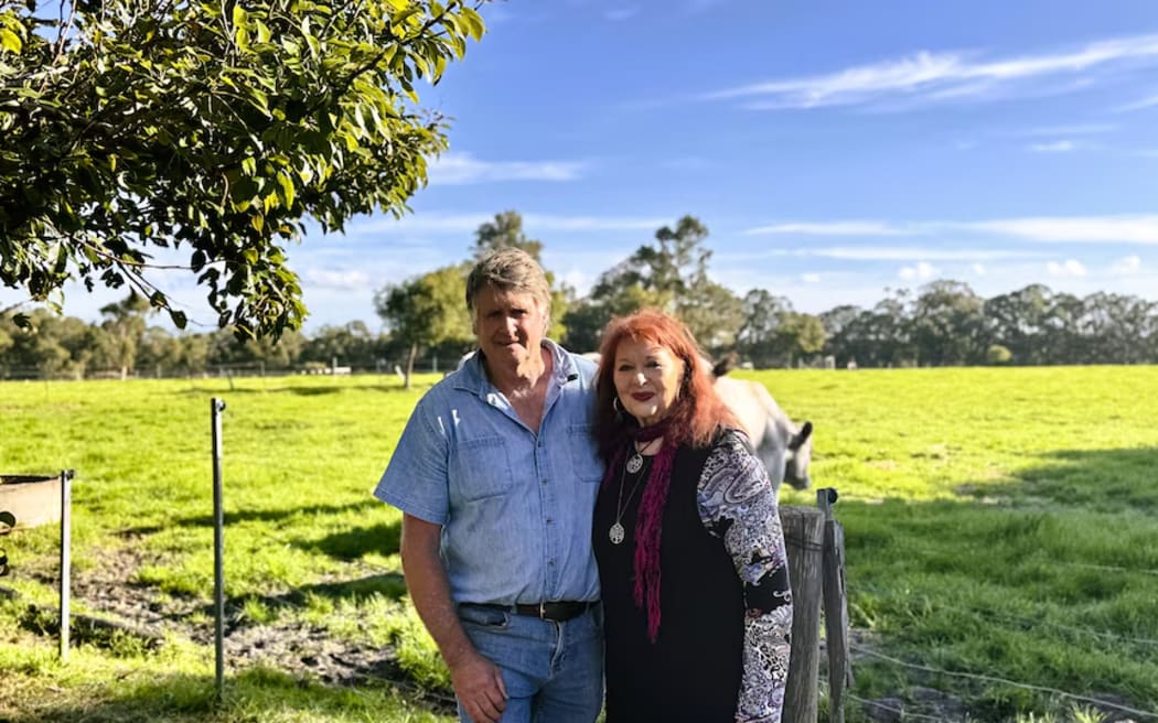 Noel and Ann Cochram have been breeding Chianina for 17 years.