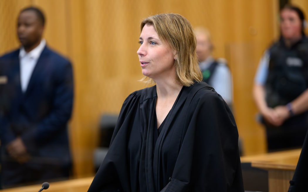 Crown prosecutor Claire Boshier speaks during the sentencing of John Hope Muchirahondo, 39, at Christchurch High Court. Muchirahondo has been found guilty of a raft of sexual assault charges at a trial last year.