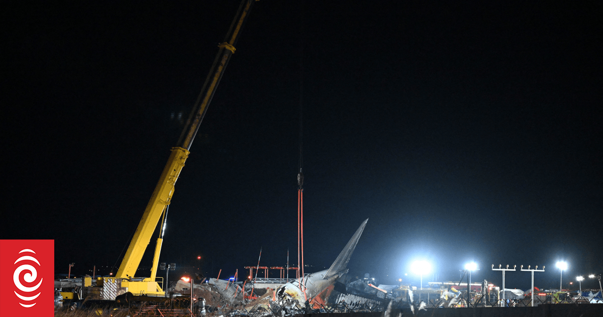 Families want answers a year after South Korea's deadliest plane crash