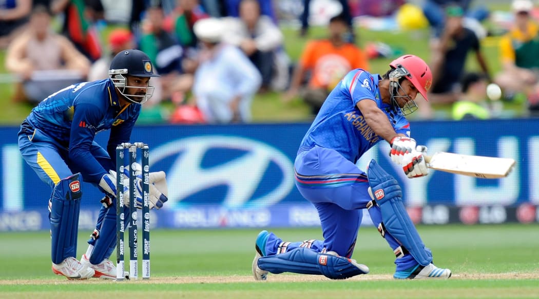 Najibullah Zadran batting for Afghanistan in Dunedin