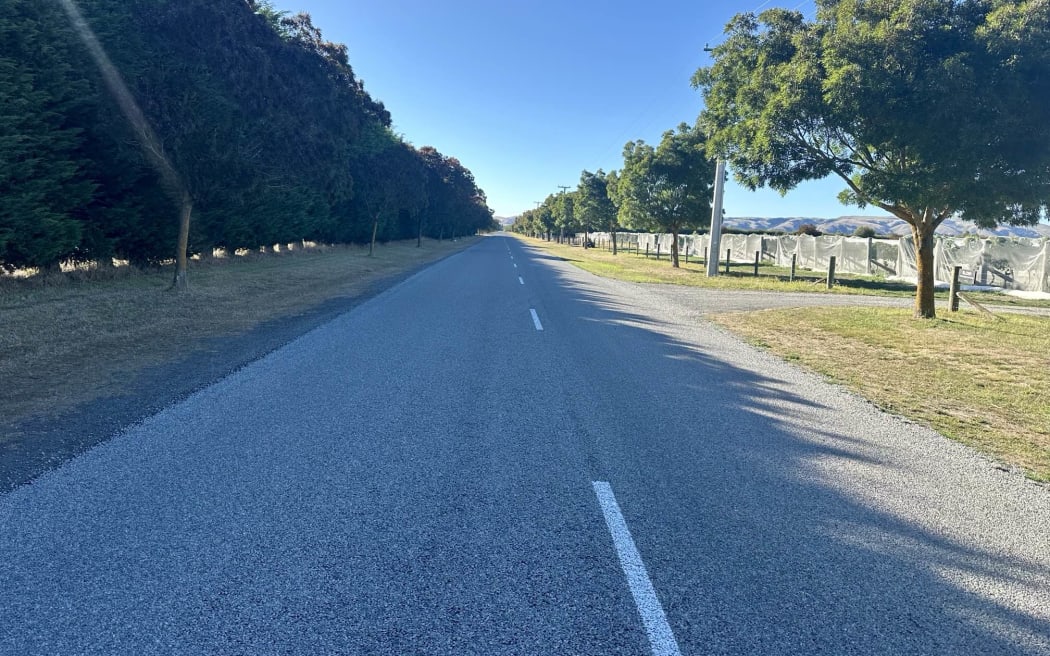 Pūruatanga Road in Martinborough