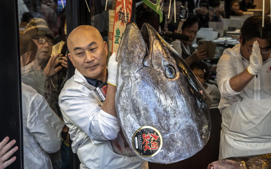 A member of staff holds up a head of a 243-kilogram bluefin tuna at the sushi restaurant 'Sushizanmai' in Tokyo on January 5, 2026, after the New Year's auction at Toyosu fish market. A Japanese sushi entrepreneur paid a record $3.2 million for a giant bluefin tuna January 5 at an annual prestigious new year auction in Tokyo's main fish market, smashing the previous all-time high. (Photo by Yuichi YAMAZAKI / AFP)