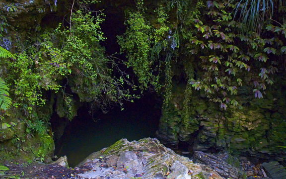 Waitomo Caves
