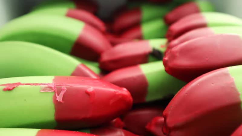 Red wax tipped bananas have gone viral on social media.