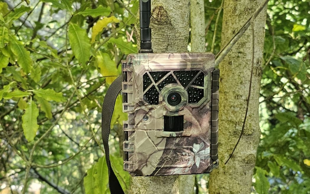 A self-reporting possum camera.