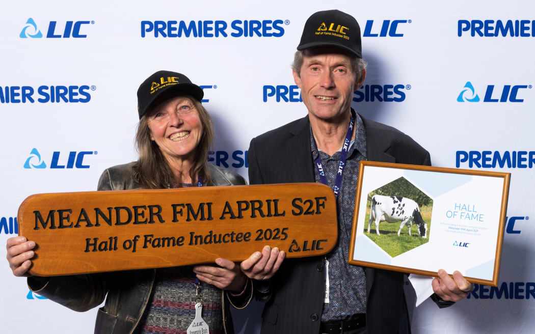 Southland breeders Annemarie and Robert Bruin of Meander Holsteins were awarded for their genomic breeding work with one of the country's most successful brood cows, April, at LIC's Breeder's Day in Hamilton last week.