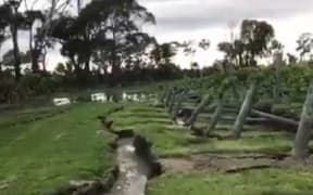 Large cracks in the soil appeared at Trevor Burkhart's vineyard in Blenheim.