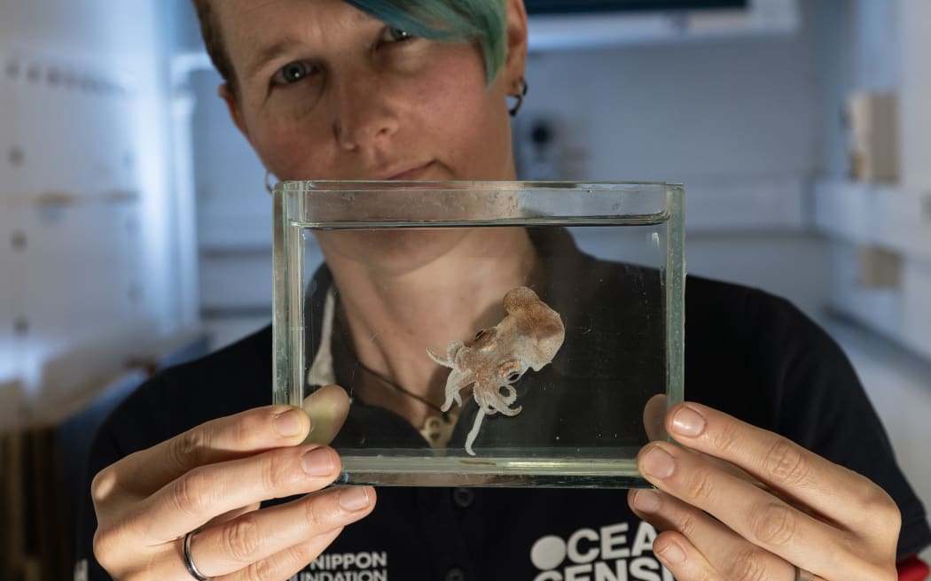 A woman with short blue hair holds up a small tank with a tiny squid suspended in clear liquid.