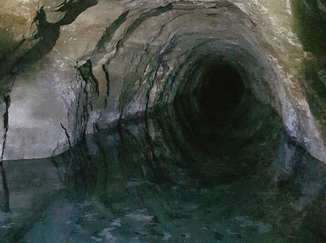 The cheesemakers took samples from caves in Otago as they searched for a strain of mould similar to Penicillium roqueforti.