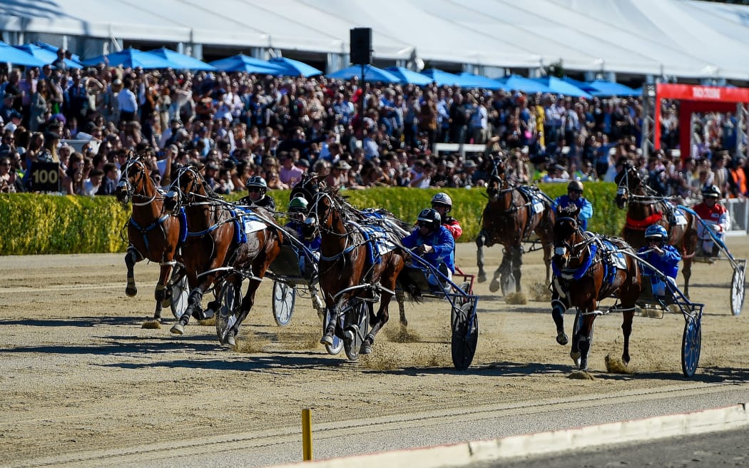 Cruz Bromac  wins the New Zealand Trotting Cup Day at Addington Raceway, 2019.