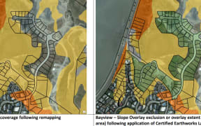 LDR SINGLE USE Almost 1100 properties have shifted out of the the slope management overlay. Photo: Max Frethey.