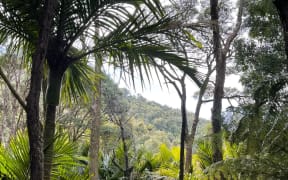 Te Kautuku beef station on the far East Coast, Tairāwhiti, is being used as a test case for a native habitat regeneration project by startup Toha Network, allowing supporters to purchase Mahi Tokens to fund the environmental work.