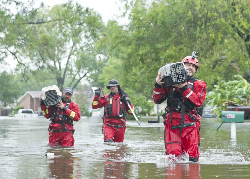 Responding to a resident report, the HSUS Animal Rescue Team (ART) Emergency Placement Partners.