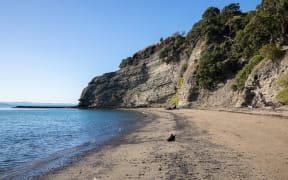 A wily stoat is on the loose on one of Auckland's pest free islands - Motukorea/Browns Island.

 

It was first detected back in March and despite dozens of traps and cameras being set up, it's so far proven elusive.