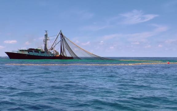 Commercial fishing in the Hauraki Gulf