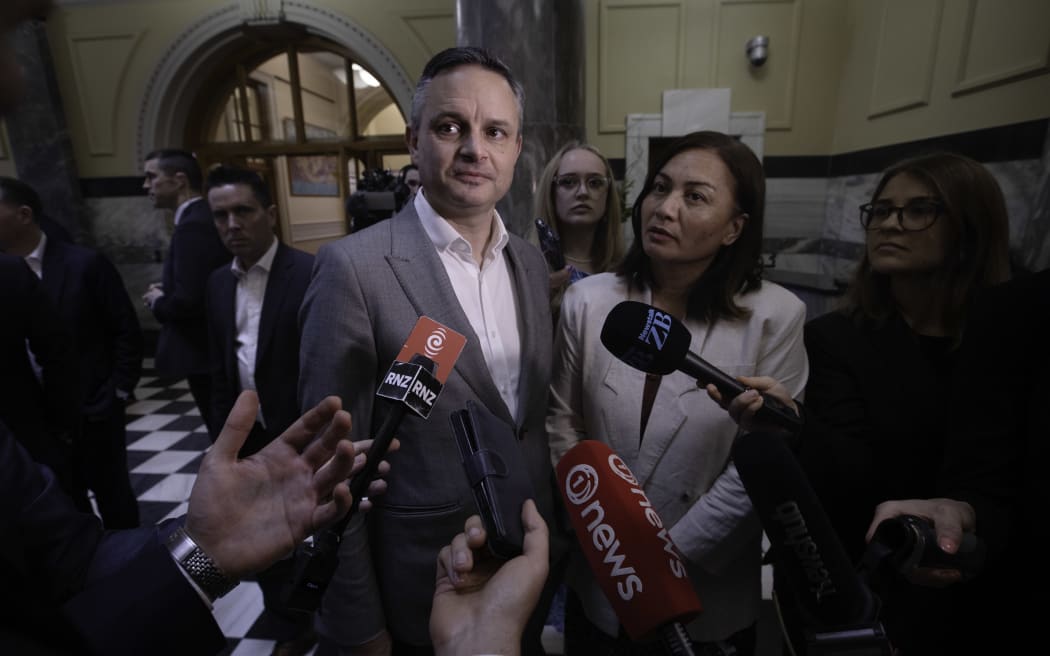 Green Party co-leaders Marama Davidson and James Shaw