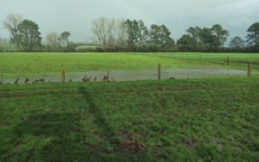 Sharemilker and Waikato Federated Farmers dairy chair Matthew Zonderop said there had not been a good dry spell since October.