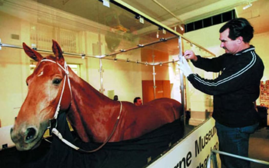 Richards describes visiting Phar Lap's mounted hide at the Melbourne Museum on a school trip as "almost a rite of passage". Pictured: Phar Lap being transferred from Museum Victoria to Melbourne Museum in 2000.