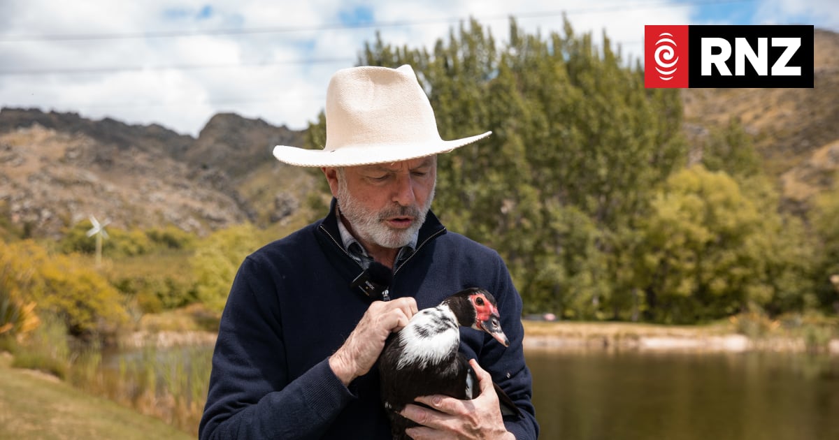 Sir Sam Neill's famous love for animals and wine at Two Paddocks | RNZ