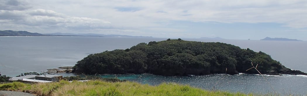 View across Leigh marine laboratory to Goat Island the surrounding marine reserve.
