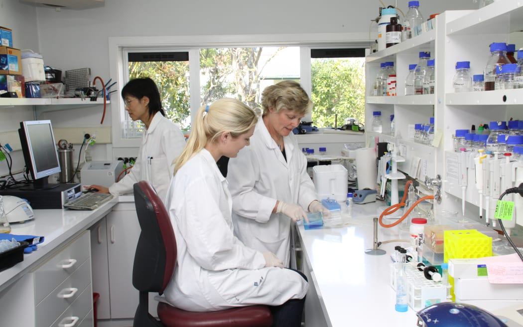 New Zealand researchers working on a methane vaccine for use on farms. Photo: Supplied