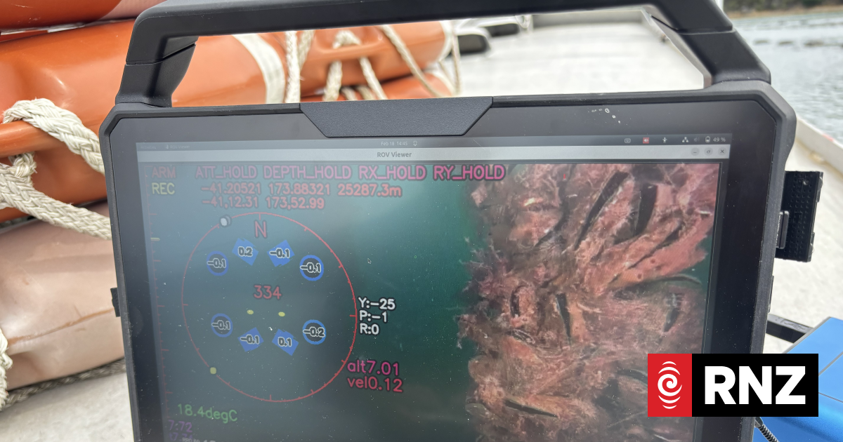 Marine farmers using AI to find out what's happening under water